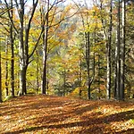 Gaestezimmer Weiss * Maria Taferl
