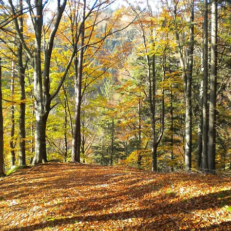 Gaestezimmer Weiss * Maria Taferl