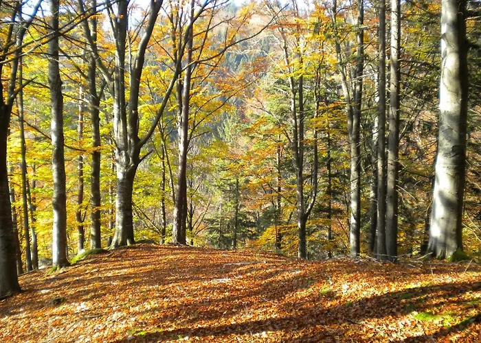 Gaestezimmer Weiss * Maria Taferl