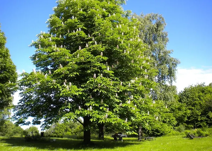 Gaestezimmer Weiss Lägenhet
